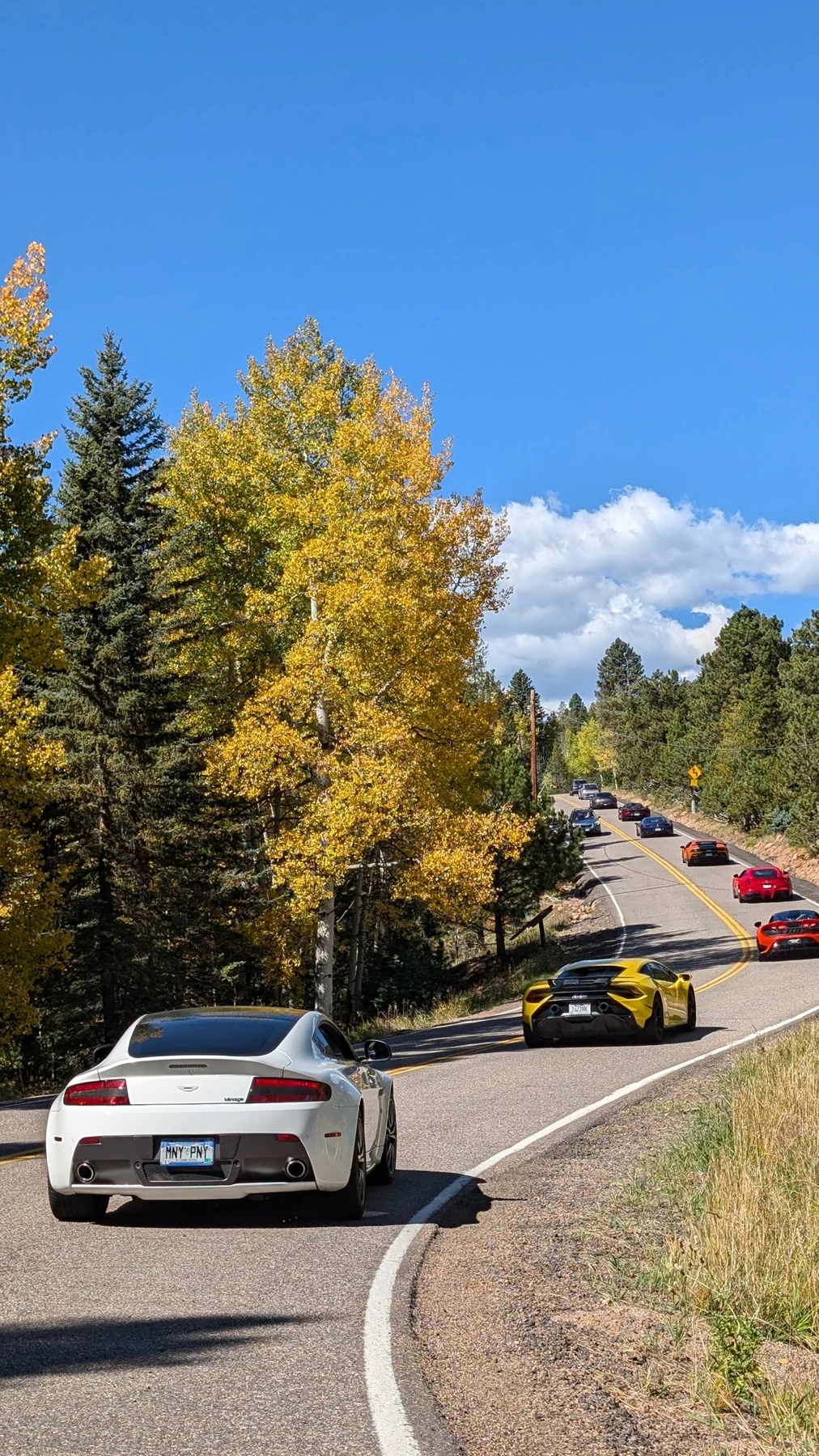 Sports cars on a winding road under yellow aspens